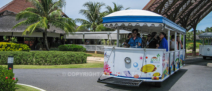 Slider Bangkok Airways