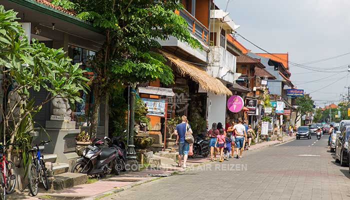 Ubud algemeen