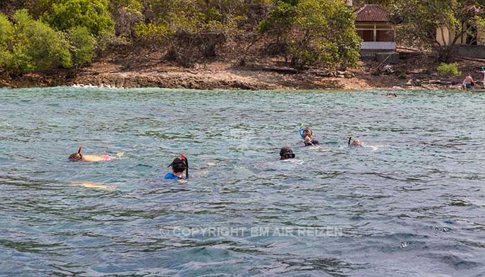 Pemuteran snorkelen