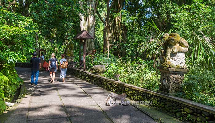 Ubud monkey forest