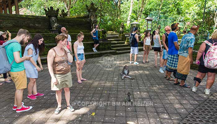 Ubud monkey forest