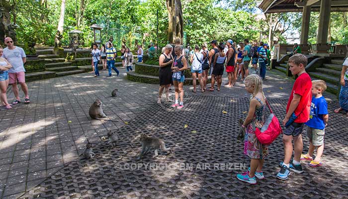 Ubud monkey forest
