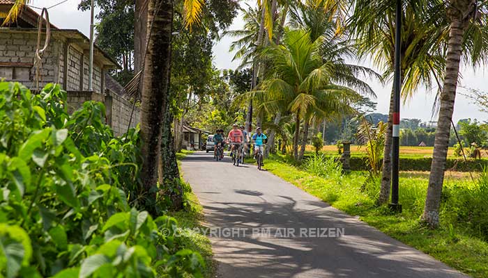 Ubud fietstour