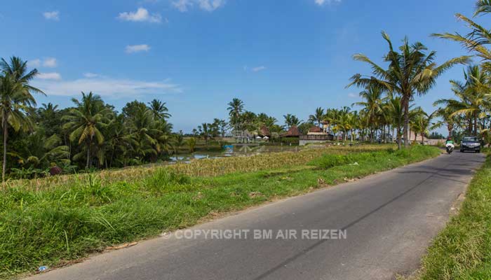 Ubud fietstour