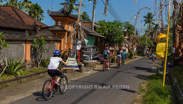 Ubud fietstour