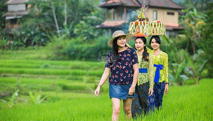 Sideman - Alam Dhari resort & spa