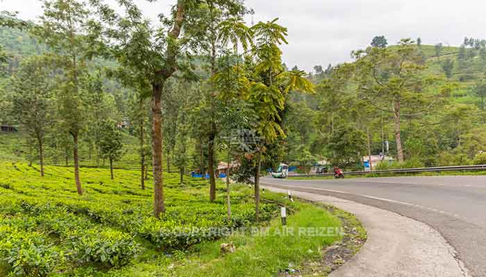 Java - Puncak Pass