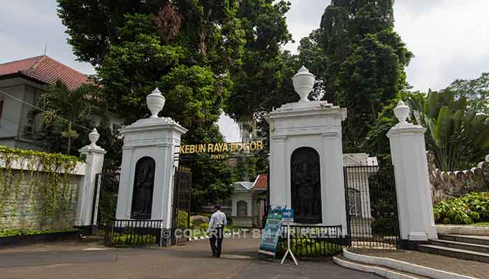 Bogor - kebun raya bogor
