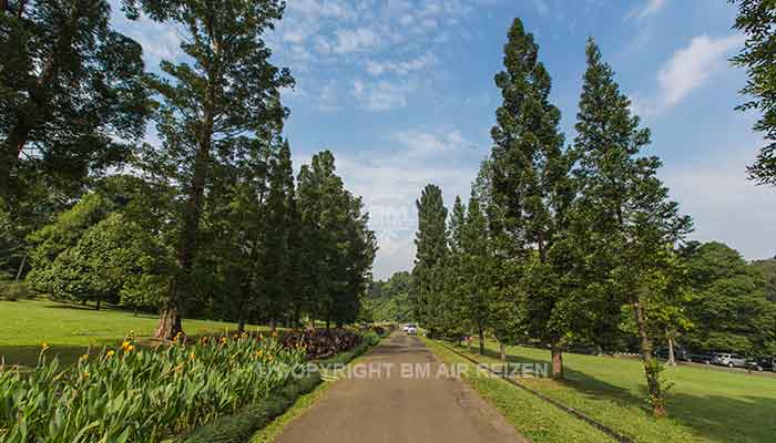 Bogor - kebun raya bogor