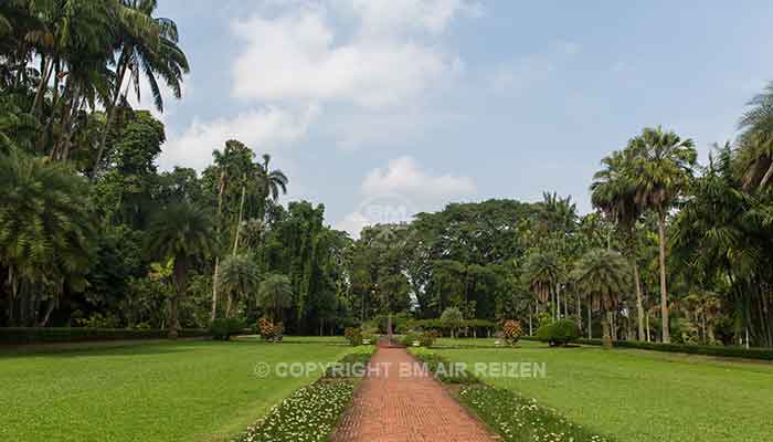 Bogor - kebun raya bogor