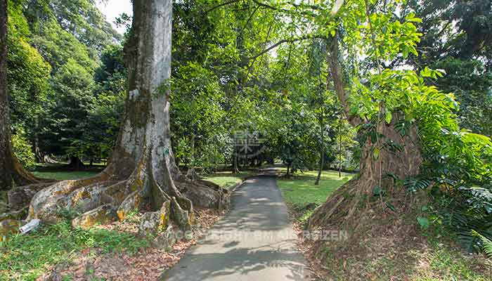 Bogor - kebun raya bogor