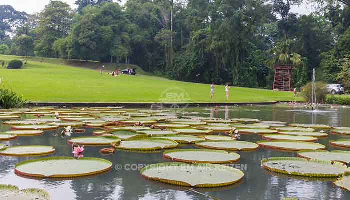 Bogor - kebun raya bogor