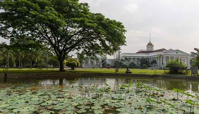 Bogor - kebun raya bogor