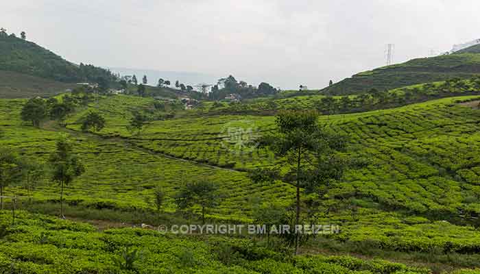 Java - Puncak pass