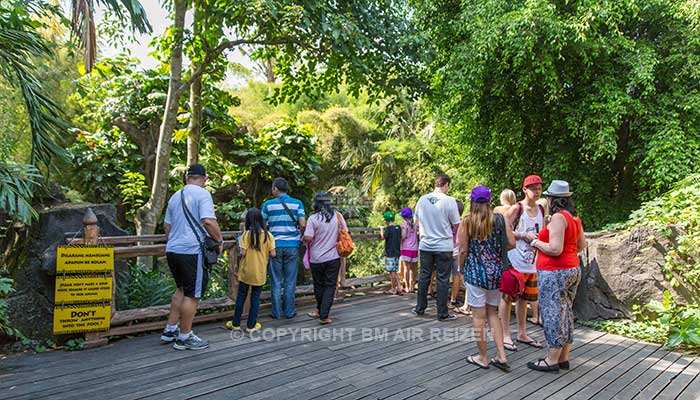 Bali Safari Marine park