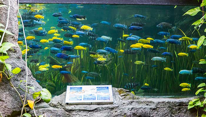 Bali Safari Marine park