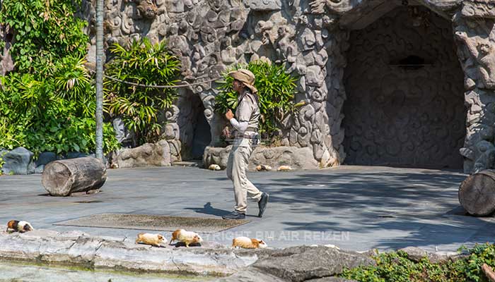 Bali Safari Marine park