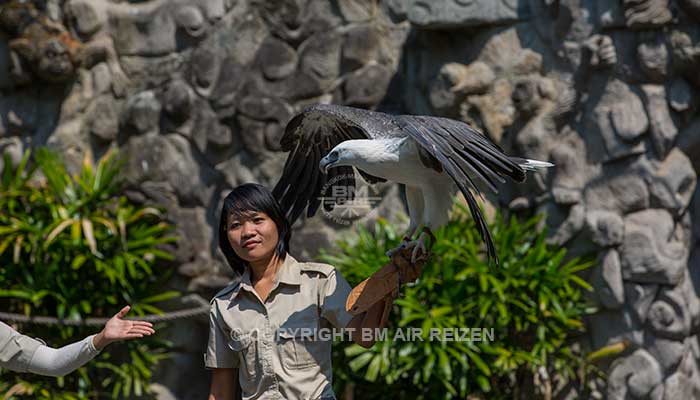 Bali Safari Marine park