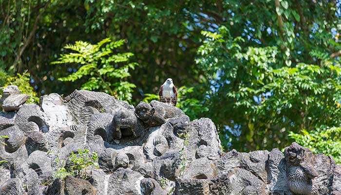 Bali Safari Marine park