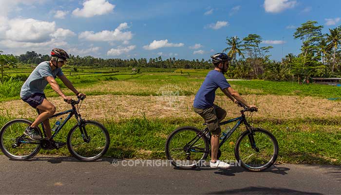 Ubud algemeen
