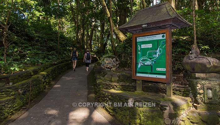 Ubud - apenbos