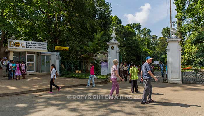 Peradeniya - botanische tuin