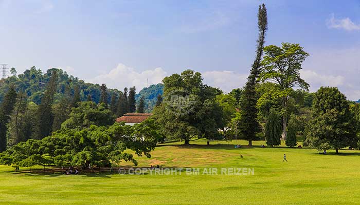 Peradeniya - botanische tuin