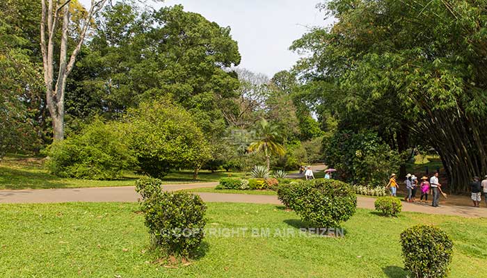 Peradeniya - botanische tuin