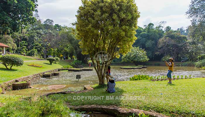 Peradeniya - botanische tuin