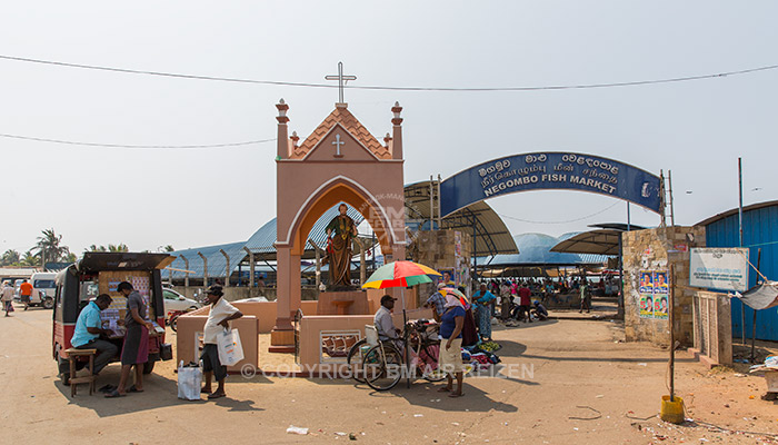 Negombo - vismarkt