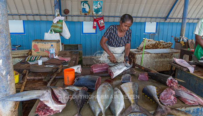 Negombo - vismarkt