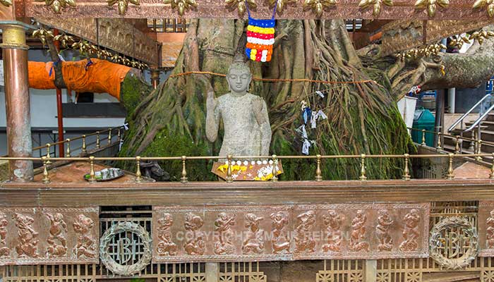 Colombo - Gangaramaya tempel