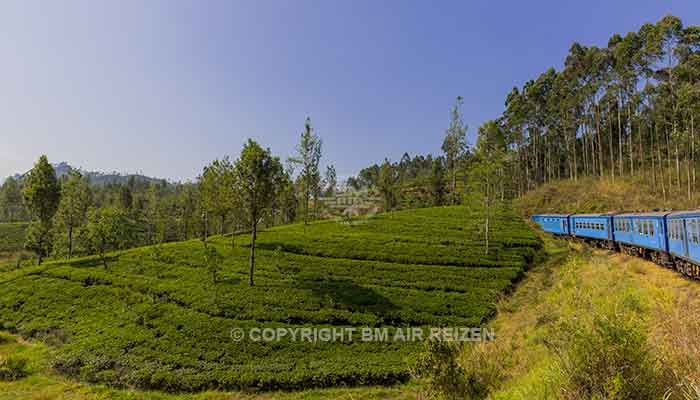 Rondreis Sri Lanka Best Deal - Treinreis langs theeplantages