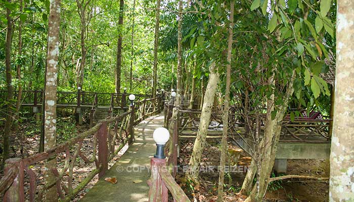 Khao Sok Paradise Resort