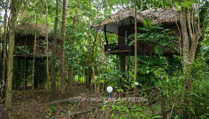 Khao Sok Paradise Resort