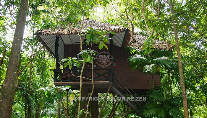 Khao Sok - Khao Sok Paradise Resort