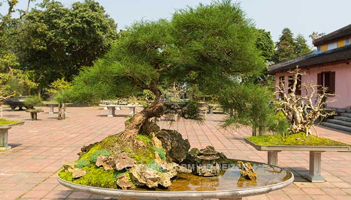 Hue - Thien Mu Pagode
