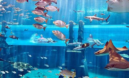 Atlantis Aquaventure - Dubai