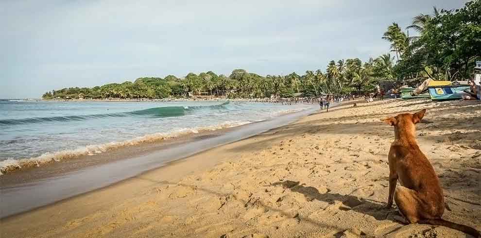 Arugam Bay - Bay Vista Hotel