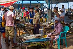 Negombo - vismarkt