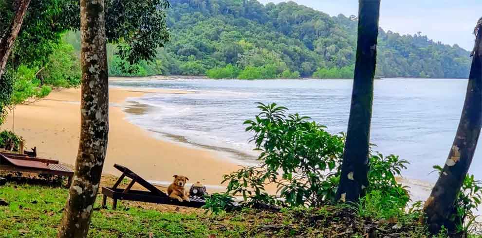 Koh Phayam - Phayamas Private Beach Resort