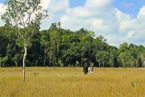 Cardamom Trekking