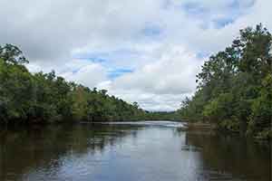 Cardamom Trekking
