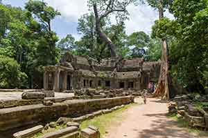 Siem Reap - Ta Prohm