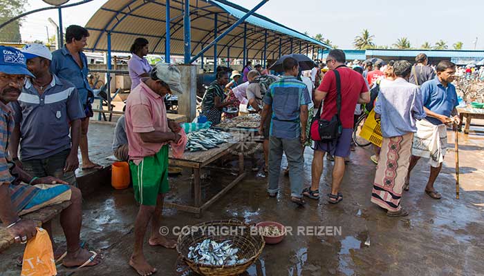Info Negombo - Sri Lanka