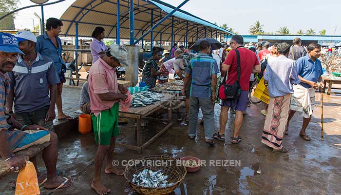 Info Negombo - Sri Lanka