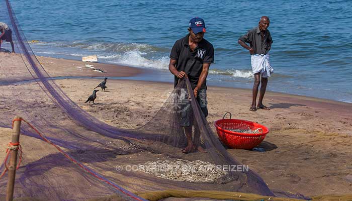 Info Negombo - Sri Lanka