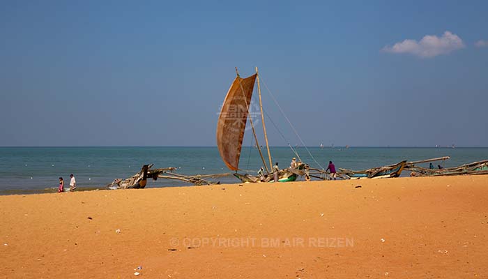 Info Negombo - Sri Lanka