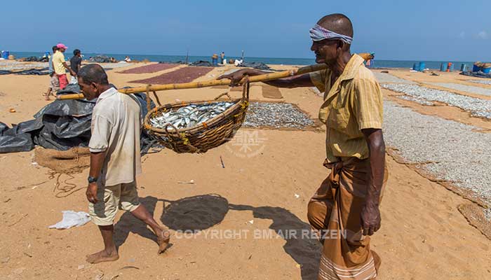 Info Negombo - Sri Lanka