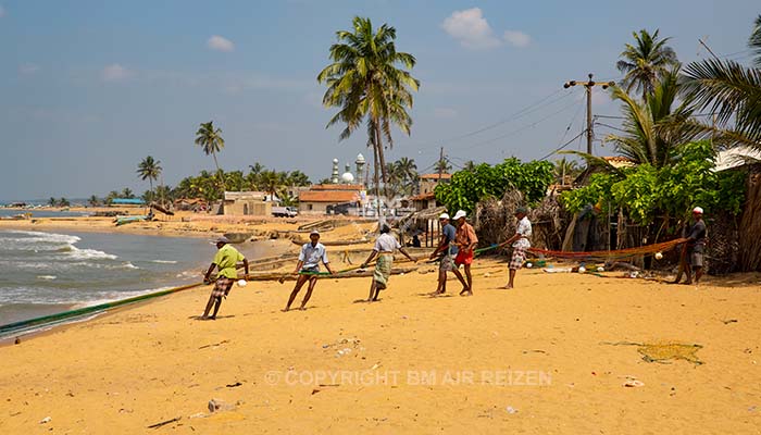 Info Negombo - Sri Lanka